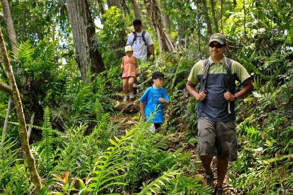 Princeville Ranch by null