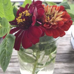 Fresh flowers on every table Fresh flowers on every table