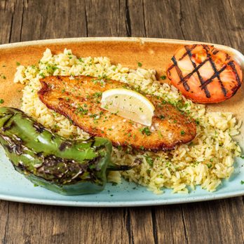 The Diplomat Eatery and Tavern - Mediterranean Near Me - Monrovia, California The Diplomat Eatery and Tavern - Mediterranean Near Me - Monrovia, California