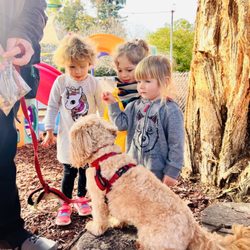 Saratoga French Cultural Preschool - Pet presentation