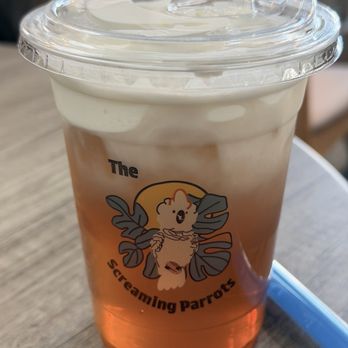 THE SCREAMING PARROTS CAFE - Updated February 2026 - 112 Photos & 53