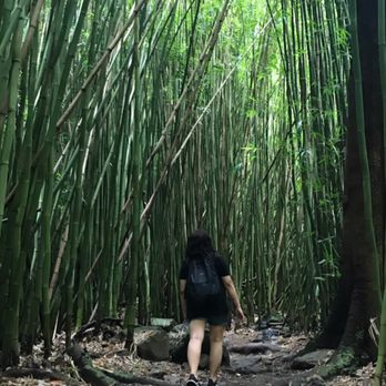 Pipiwai Trail - Hiking Near Me - Hana,, Hawaii