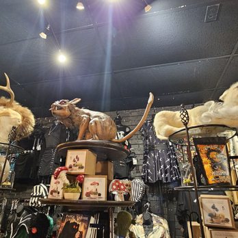 Prometheus Esoterica - Antiques Near Me - Winter Park, Florida