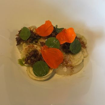 Chicory - Scallop crudo - New American Near Me - Olympia, Washington Chicory - Scallop crudo - New American Near Me - Olympia, Washington