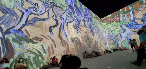 Van Gogh: The Immersive Experience by null