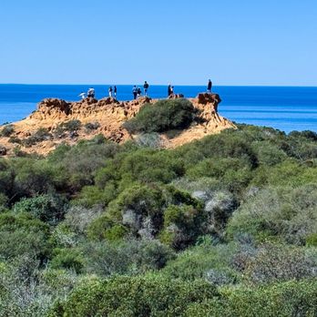 Torrey Pines State Beach - Beaches Near Me - San Diego, California