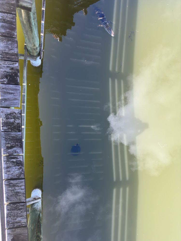 Wadsworth Park Image