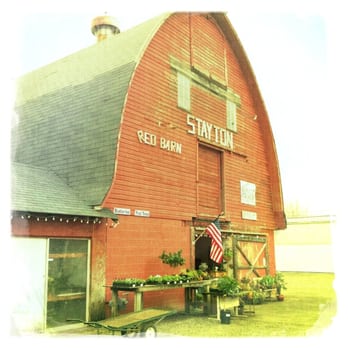 Red Barn-Yarnell's Nursery - Red Barn Nursery - Nurseries & Gardening Near Me - Stayton, Oregon Red Barn-Yarnell's Nursery - Red Barn Nursery - Nurseries & Gardening Near Me - Stayton, Oregon