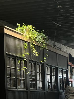 Lamplighter Coffee Roasters Roast Lab by null