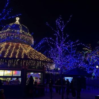 Zoolights - Local Flavor Near Me - Chicago, Illinois