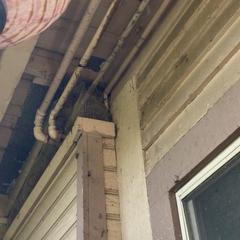 Lloyd Pest Control - Porch ceiling - Pest Control Near Me Lloyd Pest Control - Porch ceiling - Pest Control Near Me