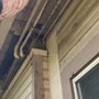Photo of Lloyd Pest Control