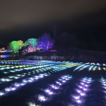 Chicago Botanic Garden - 2023 Holiday Lights - Botanical Gardens Near Me - Glencoe, Illinois Chicago Botanic Garden - 2023 Holiday Lights - Botanical Gardens Near Me - Glencoe, Illinois