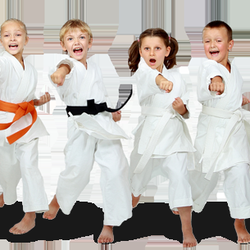 Next Level Martial Arts & Fitness