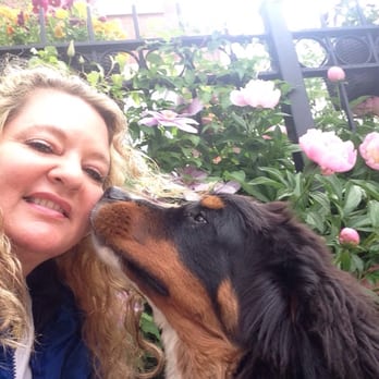 Pet & Home Pro's - Dog Walkers Near Me - Chicago, Illinois