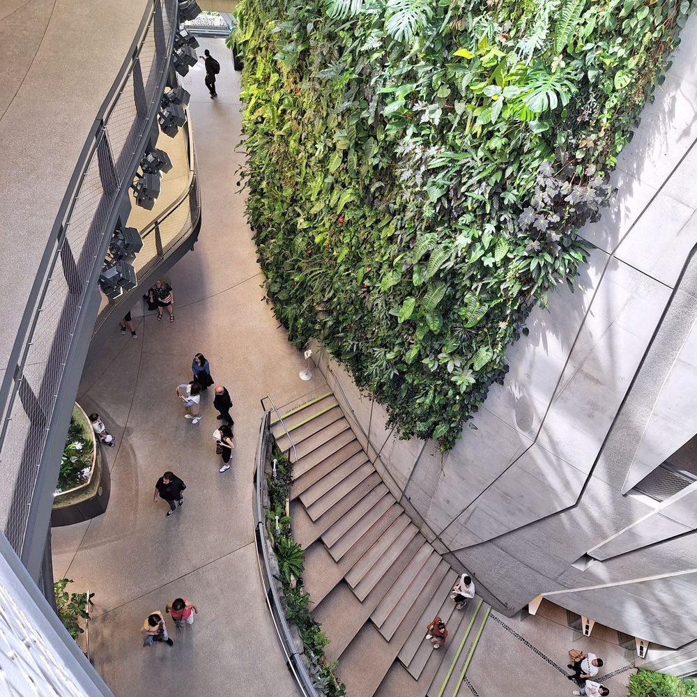 Amazon Spheres - Botanical Gardens Near Me - Seattle, Washington
