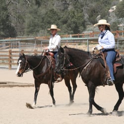 Horse of the Sun Ranch - Horsemanship & Stockmanship Clinics with Bob King