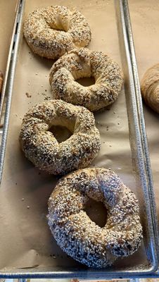 House of Bagels by null