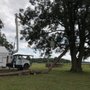 Photo of Munoz Tree & Lawn Service