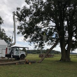 Munoz Tree & Lawn Service