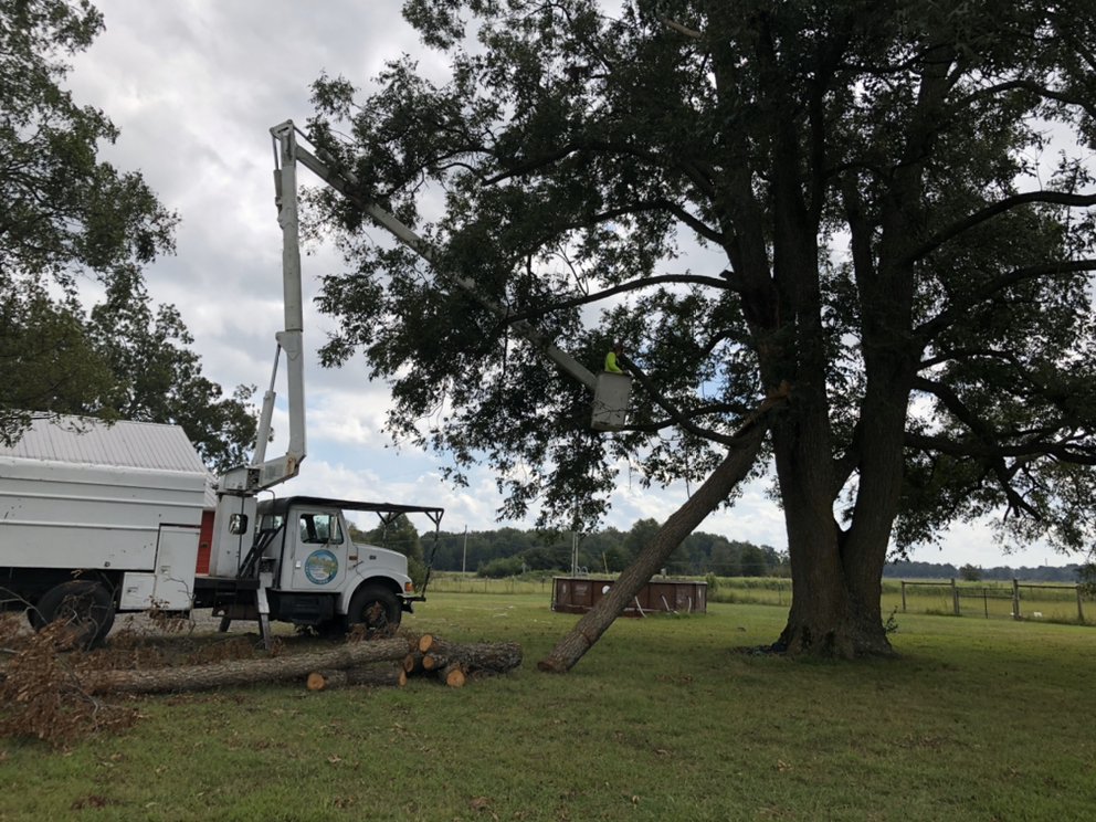 MUNOZ TREE & LAWN SERVICE Updated June 2024 Kensett, Arkansas