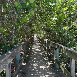Barrier Island Sanctuary - Boardwalk