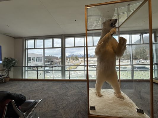 Juneau International Airport by null