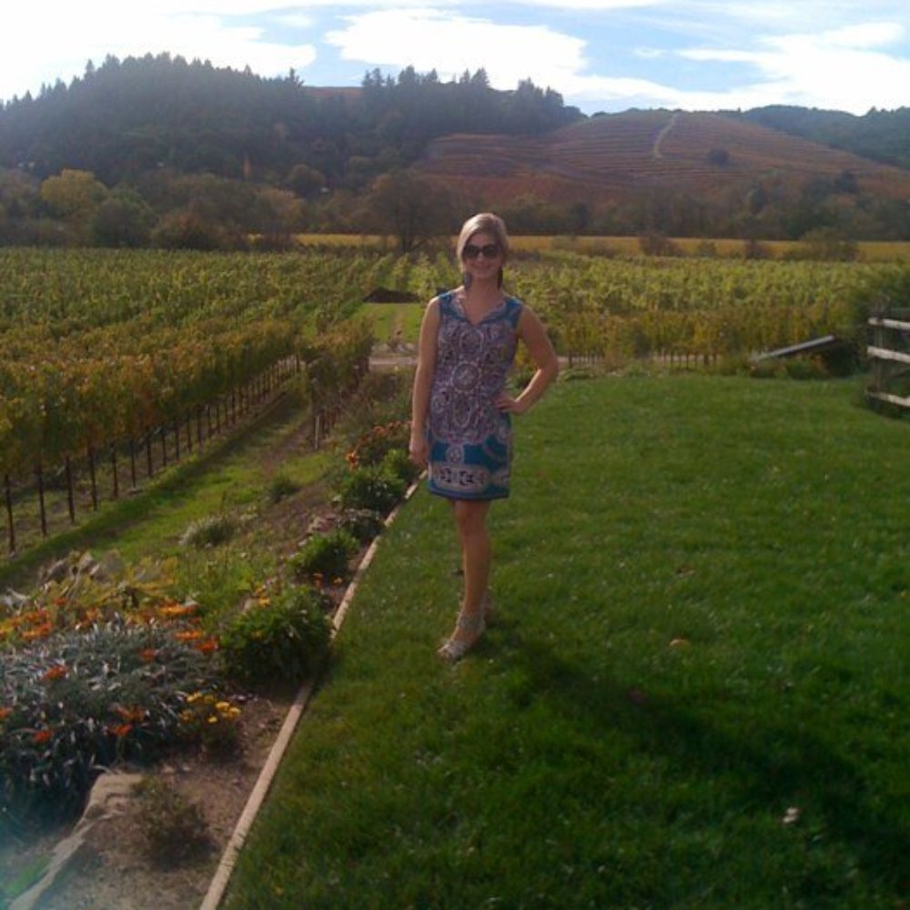 Dutcher Crossing Winery - Beautiful fall view - Wineries Near Me - Geyserville, California