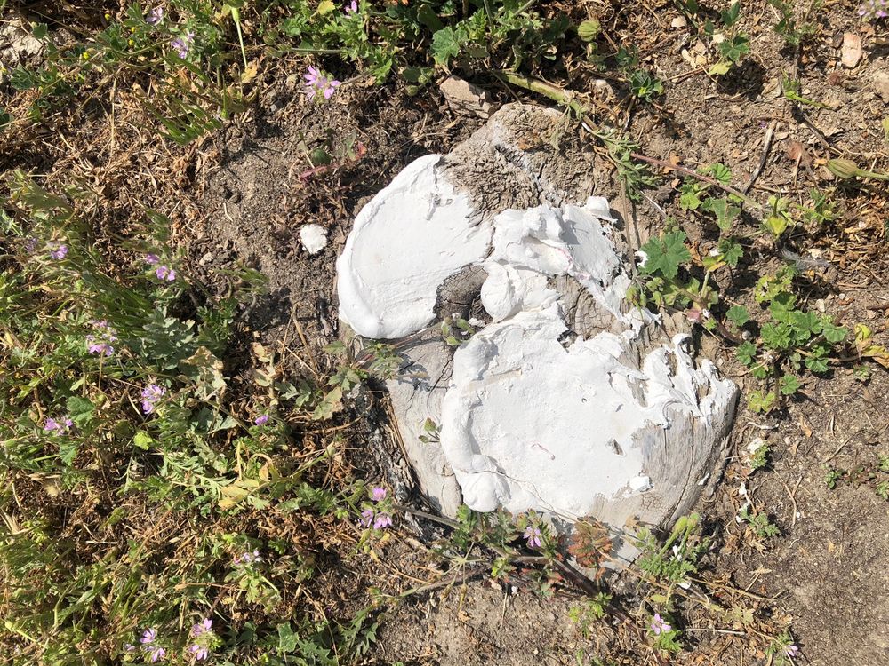 Slide of S & I Construction