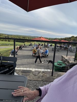 Milea Estate Vineyard by null