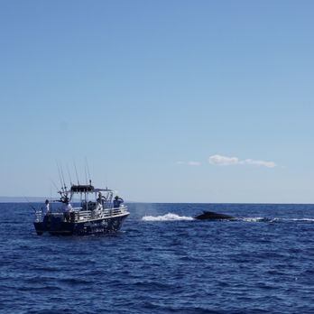 Makai Adventures - Boat Charters Near Me - Lahaina, Hawaii Makai Adventures - Boat Charters Near Me - Lahaina, Hawaii