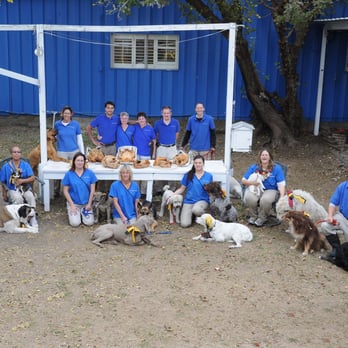 Country Acres Pet Resort - Pet Training Near Me - Arlington, Texas