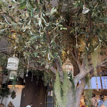 Glimmer Cafe - Cafes Near Me - Delray Beach, Florida Glimmer Cafe - Cafes Near Me - Delray Beach, Florida