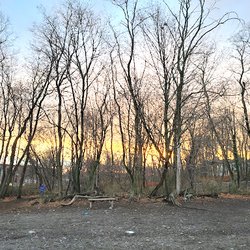 Waterman St Dog Park