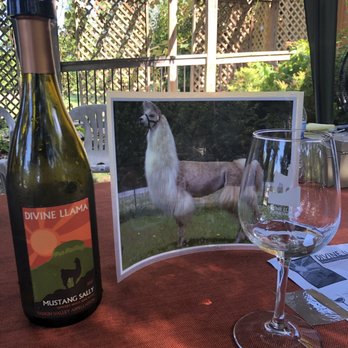 Divine Llama Vineyard - Wineries Near Me - East Bend, North Carolina