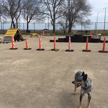Jackson Bark - Dog Parks Near Me - Chicago, Illinois