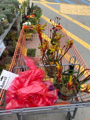 The Home Depot by null