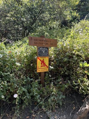 Salmon Creek Falls by null