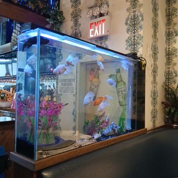 Brooklyn Custom Aquarium - Aquarium Services Near Me - Brooklyn, New York Brooklyn Custom Aquarium - Aquarium Services Near Me - Brooklyn, New York