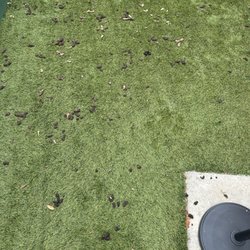 The Turdmeister - Before cleaning