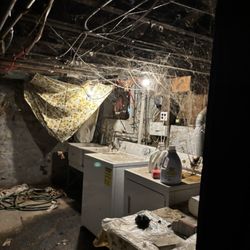 EASE Property Services - More basement