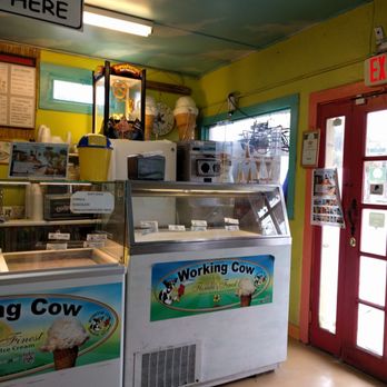 Kooky Coconut - Ice cream - Sandwiches Near Me - Indian Rocks Beach, Florida Kooky Coconut - Ice cream - Sandwiches Near Me - Indian Rocks Beach, Florida