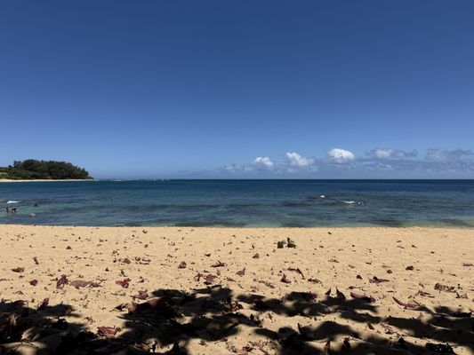 Tunnels Beach by null