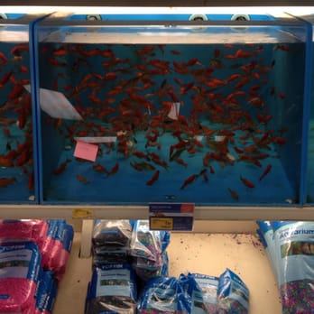 PetSmart - Pet Stores Near Me - Lynchburg, Virginia PetSmart - Pet Stores Near Me - Lynchburg, Virginia