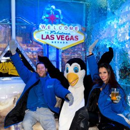 Ice bar with free drinks && a penguin lol Ice bar with free drinks && a penguin lol