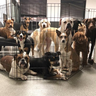 Crate Escape by null