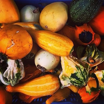St. George's Market - Beautiful Autumn selection from the local fruit and veg guys. - Farmers Market Near Me - Belfast, BFS