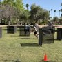Photo of Playgrounds Dart Zone