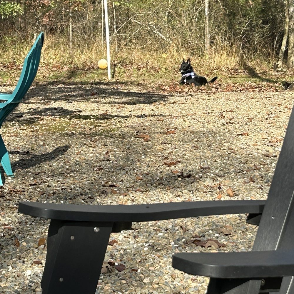 Lucy enjoying the views! Lucy enjoying the views!