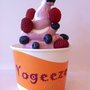 Photo of Yogeeze Frozen Yogurt